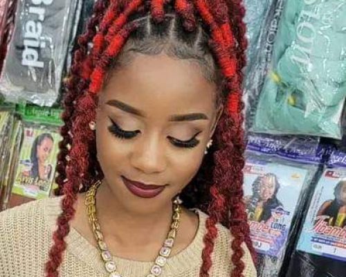 braids by fifi’s mobile salon fifi's mobile salon